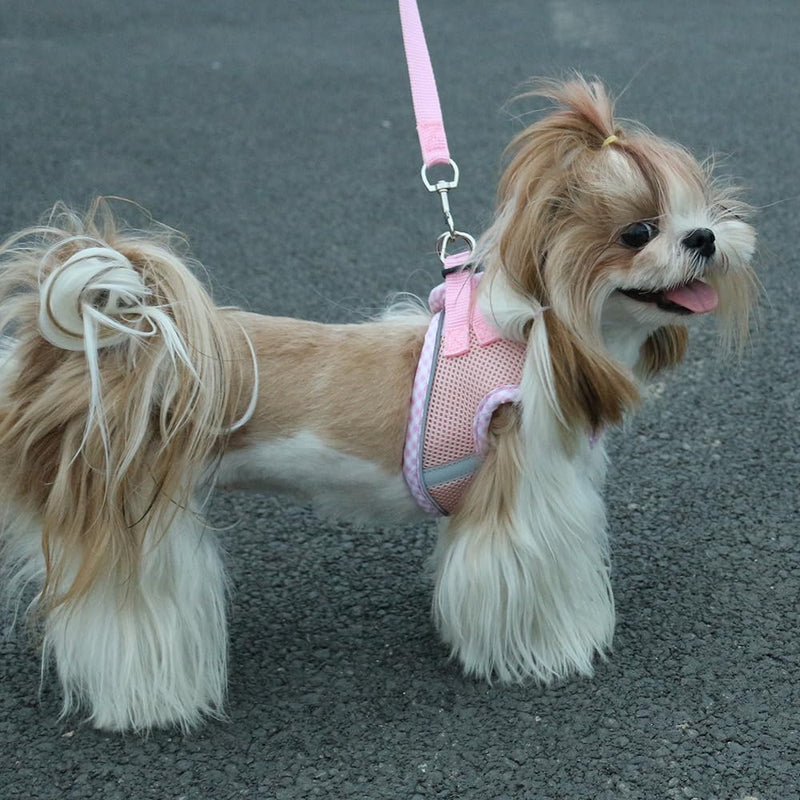 Dog Harness and Long Leash Set for Small Dogs, Boy and Girl Medium Cat No-Pull Vest with Reflective Strips, Breathable Large Puppy Collar Pet When Training, Walking, Running, M PINK - PawsPlanet Australia