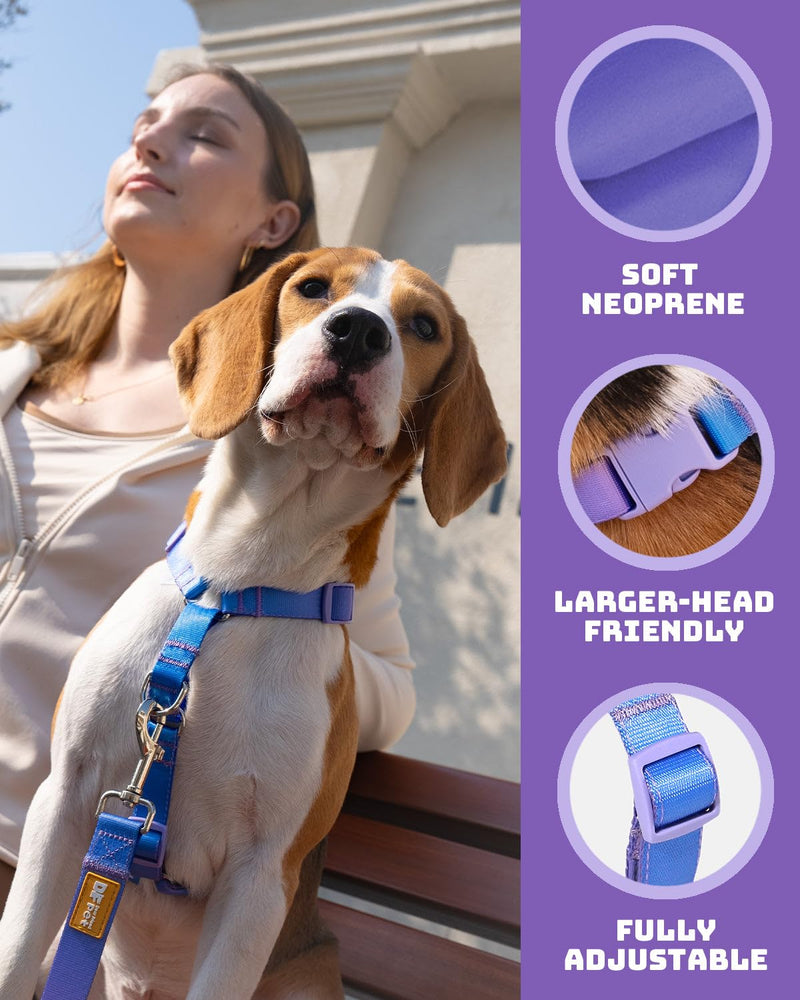 DF Freedom No Pull Martingale Dog Harness and Leash Set, Front Clip Adjustable Harness with Reflective & Padded Handle, Easy Walking & Training, Rainbow, 1", Chest 24.4" - 32.4" 1" (Chest 24.4" - 32.4") Rainbow Pro - PawsPlanet Australia