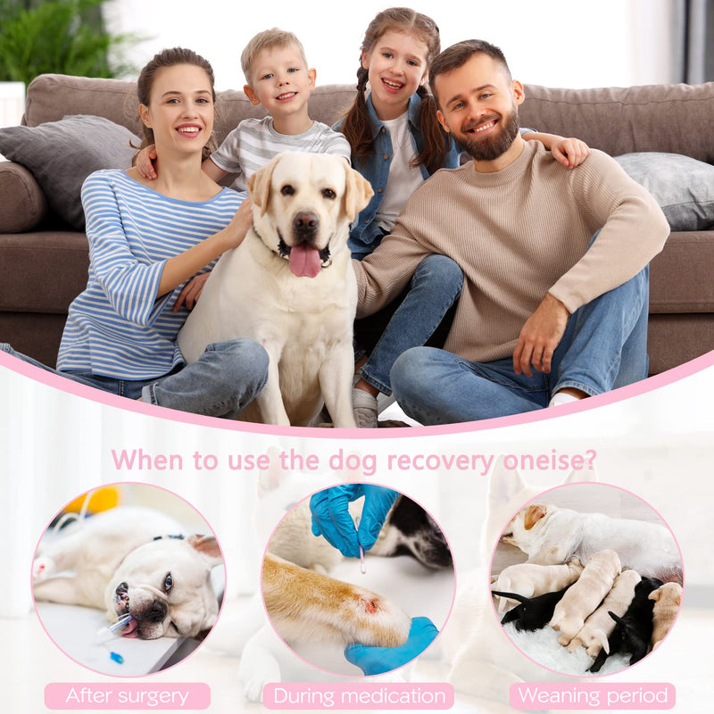 Etdane Dog Recovery Suit for Female Male Dog Onesie for Surgery Dog Surgical Suit After Spayed Dog Neuter Body Suits Fit Small Medium Dog with Pee Hole Pink Star/Small