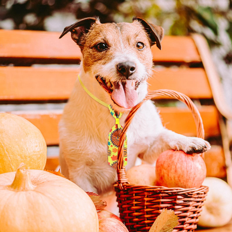 Sadnyy 60 Pcs Fall Dog Bows Bulk Thanksgiving Dog Collars Adjustable Turkey Pumpkin Puppy Bowtie Collar Includes 24 Pet Neck Ties and 24 Bowties 12 Pet Bowknot Set for Grooming Decor Maple Leaves - PawsPlanet Australia