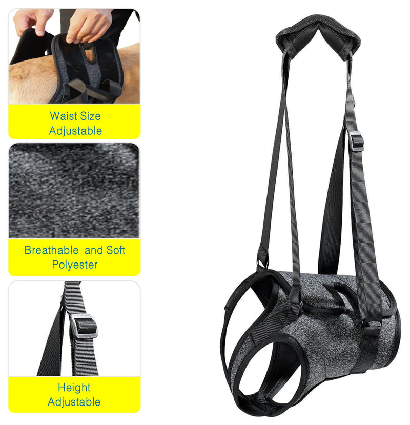 Dog Lift Harness for Back Legs–Sturdy Dog Support Sling–Hip Sling Carrier for Large/Medium/Small Canine, Stair Helper for Aid Old Ligament Rehabilitation Pet, Grey,L L-waist 19"-24" - PawsPlanet Australia