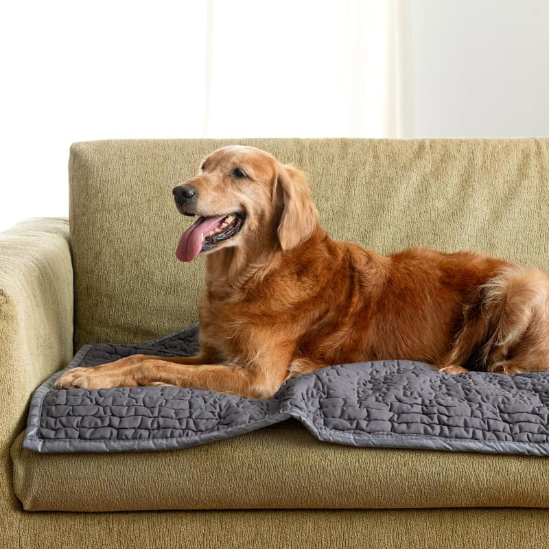PAULATO BY GA.I.CO. Waterproof Couch Cover – 24x47 Blanket for Sofa Car Seat or Crate – Machine Washable Absorbent Reusable Pad for Puppy Training – Dogs Cats Pets Friendly Protector - Dark Grey M (24x47”) - PawsPlanet Australia