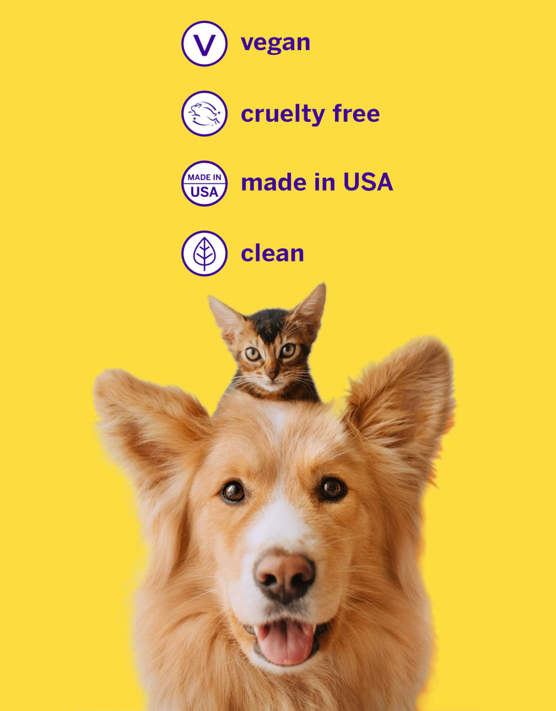 Petsmile Professional Pet Toothpaste for Cats & Dogs - VOHC Accepted Toothpaste - Clinically Proven to Control Plaque & Tartar Calprox Formula (London Broil, 2.5 Oz) London Broil 2.5 Ounce (Pack of 1) - PawsPlanet Australia