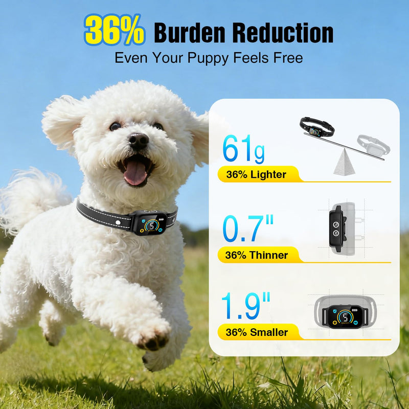 2 Pack Bark Collar, Smart Dog Bark Collar for Large Medium Small Dogs, Rechargeable Ultra-Light Training Collar with Beep Vibration, Anti Barking Device with 5-Level Sensitivity (Black) Black - PawsPlanet Australia