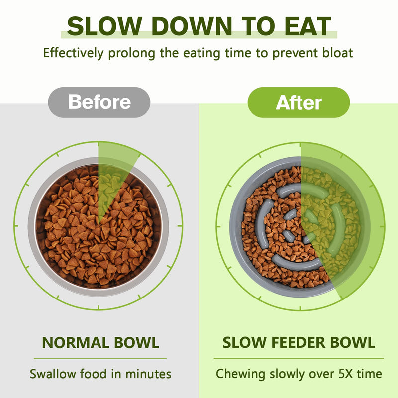 Pecute Slow Feeder Dog Bowls to Slow Down Eating, Dog Bowl Slow Feeder with No-Spill Non-Skid Silicone Mat, Food-Grade Safe Dog Food Bowls Slow Feeder, Stainless Steel Dog Water Bowl for Dogs Cats Medium-1¾ Cup/13.5 oz each Grey - PawsPlanet Australia