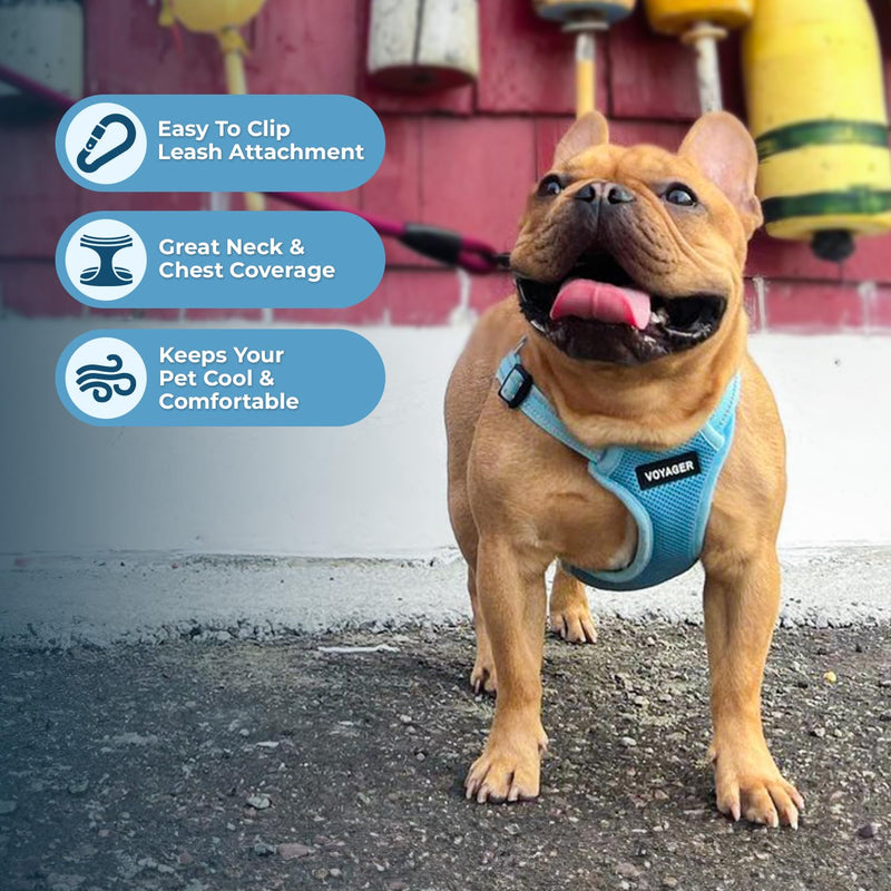 Best Pet Supplies Voyager Adjustable Dog Harness Leash Set with Reflective Stripes for Walking Heavy-Duty Full Body No Pull Vest with Leash D-Ring, Breathable All-Weather - Harness (Baby Blue), XS Harness Leash Set (Baby Blue)