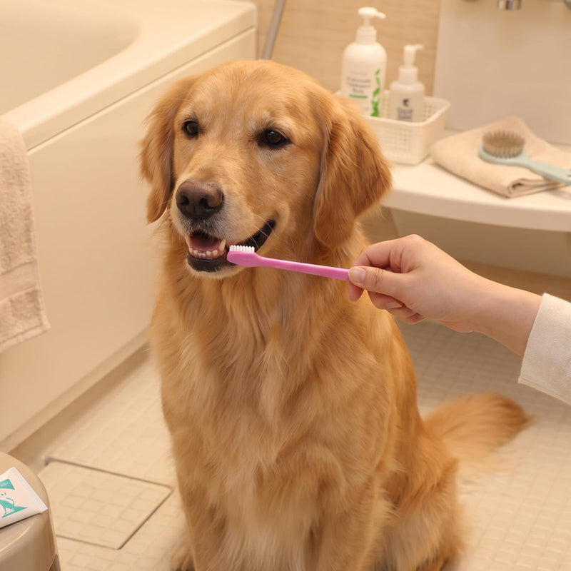 180 Pcs Dog Toothbrush Bulk, Dual Headed Dental Brushes, Long Handle Pet Tooth Brush, Puppy Tooth Brushing Kit for Small to Large Dogs, Cats, and Most Pets, Oral Care Supplies, 9 Colors