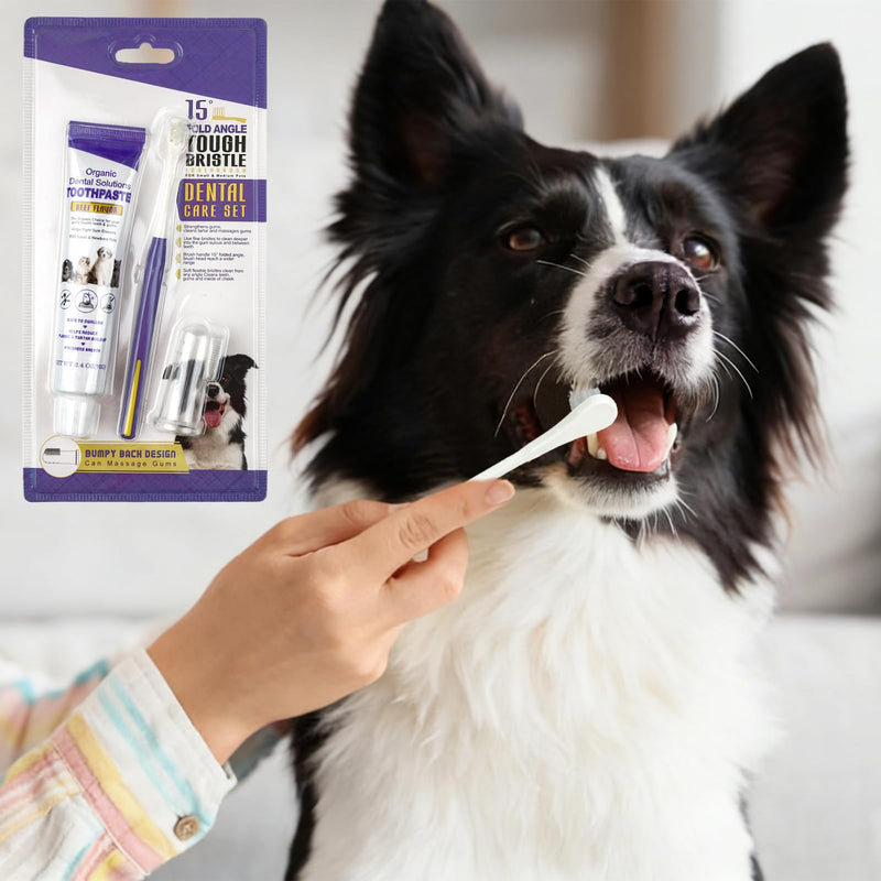 Dental care dog set, toothbrush for dogs and cats, dog toothpaste against tartar, with toothbrush, toothpaste and dog toothbrush, finger toothbrush, removes plaque and bad breath, beef flavor Blue Version