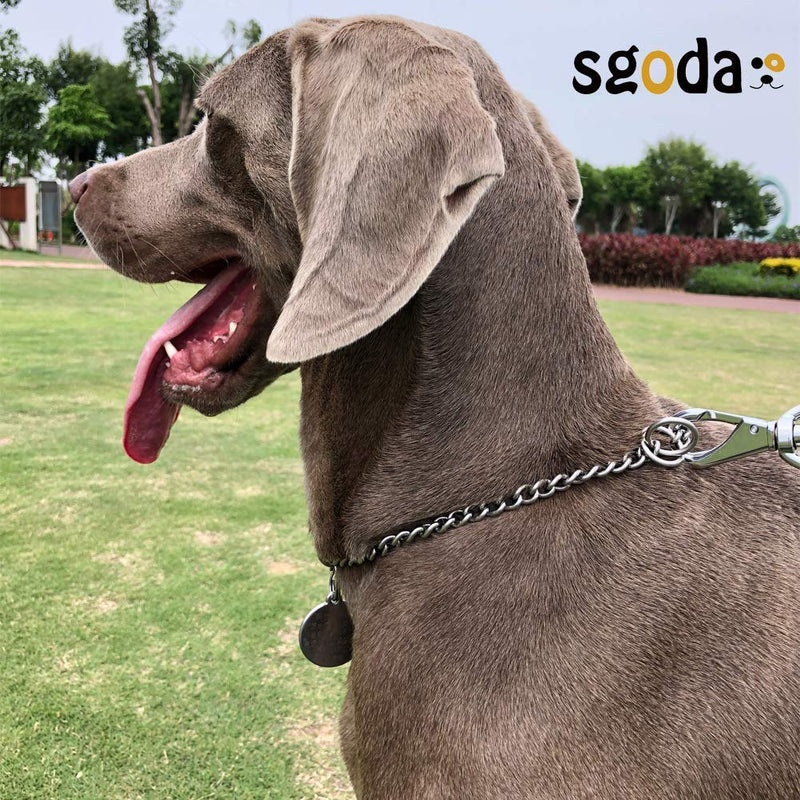 SGODA Chain Dog Training Choke Collar, SUS304 Total Length: 16 in, 2.5mm - PawsPlanet Australia