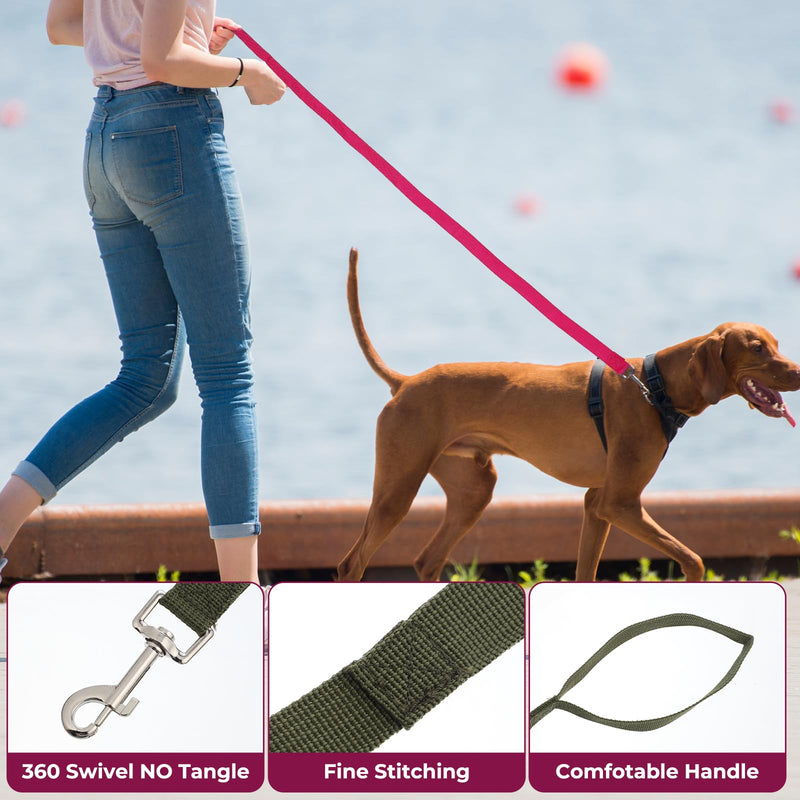 15 Pcs Puppy Leash Nylon Dog Leash Bulk Pet Rope Leashes with Swivel Hook 5ft Training Leashes for Small Medium Dogs Training Walking Hiking Camping Or Backyard (15 Colors) - PawsPlanet Australia