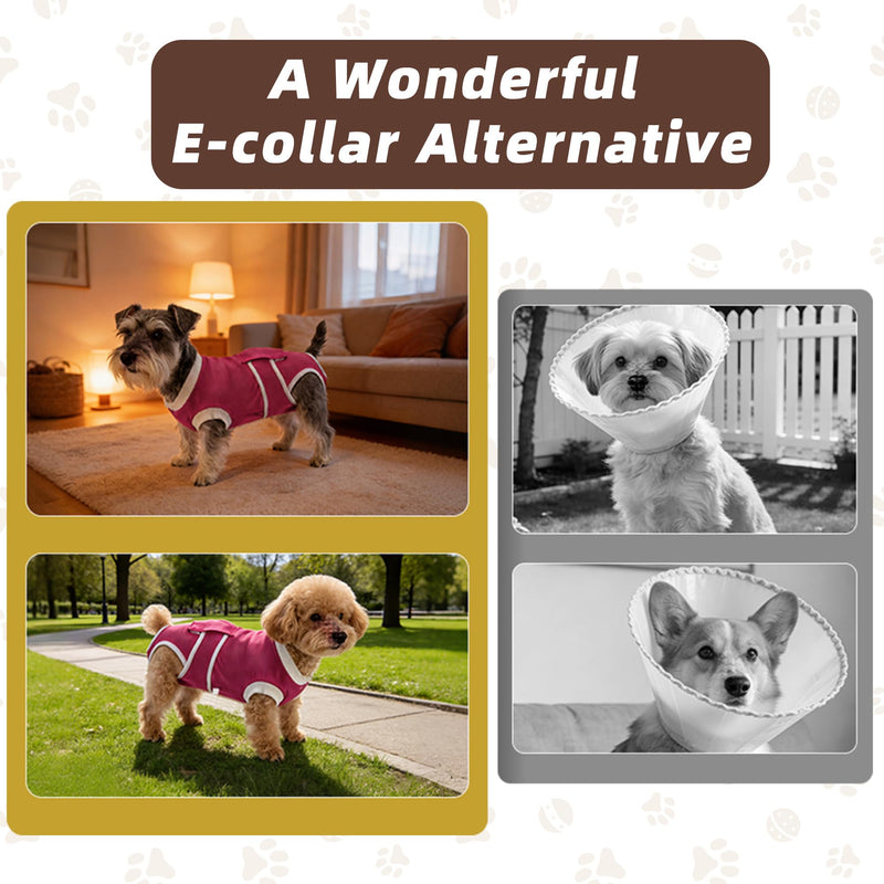 Dog Body After Surgery for Female and Males, Surgical Body Dog Castration Protection & Lick Protection Dog Bodysuit, Soft Surgical Protective Suit Alternative to Funnel for Small Medium Dogs