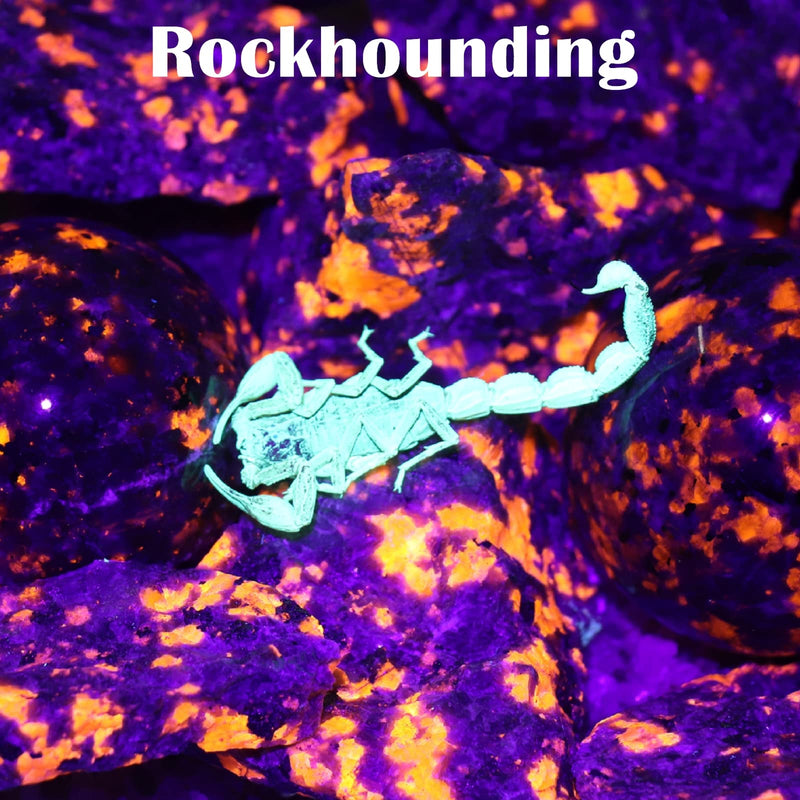 S5 UV Flashlight, Black Light Flashlight with 5 LEDs, for UV Resin Curing, Rockhounding, Pet Urine Detecting, Scorpion Hunting (385NM) 385NM - PawsPlanet Australia