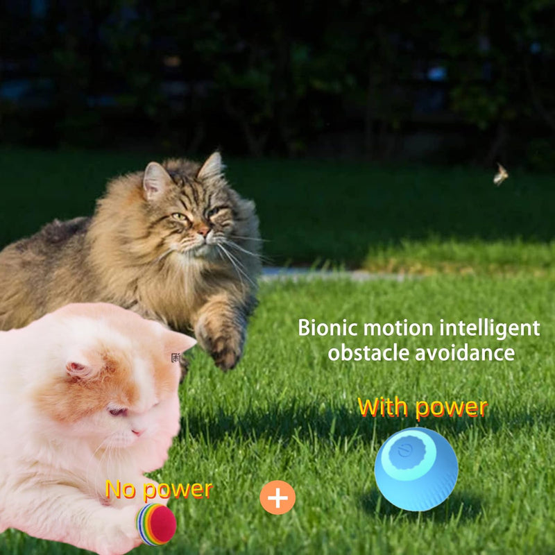 cat Toy Two-Piece Set-Wloom Power Ball 2.0 -Red Rainbow Cat Toy Balls Soft Interactive Indoor Kittens Favorite Toys .Small Dogs Toy Balls Activity Chase Quiet Play Sponge Ball（Blue） - PawsPlanet Australia
