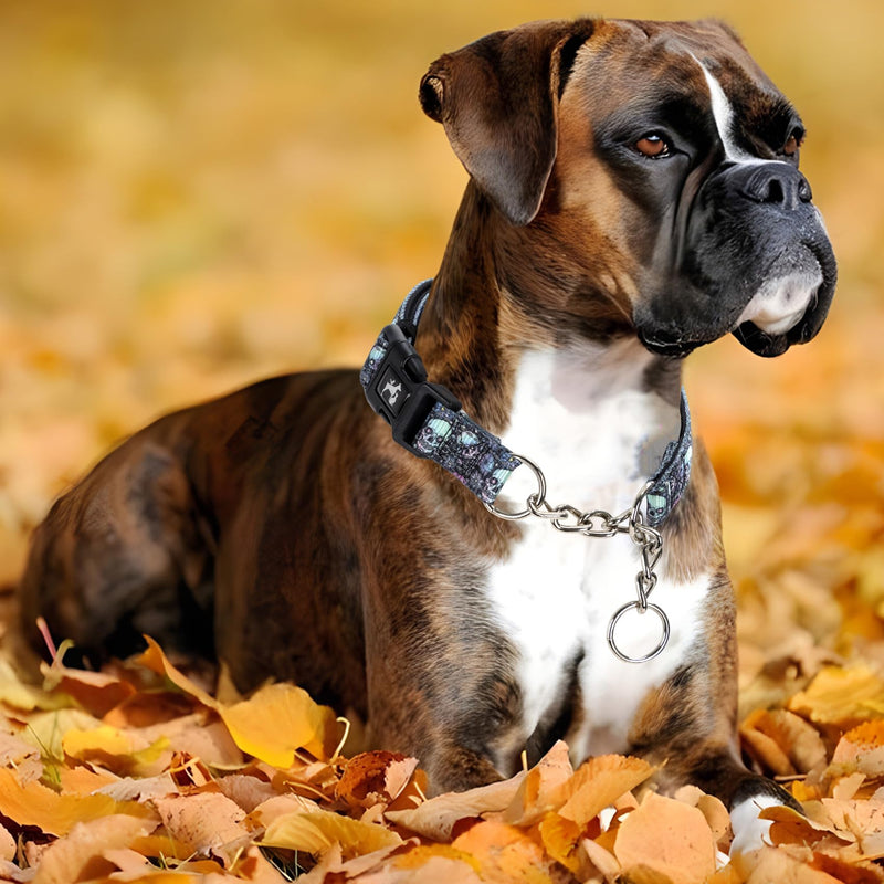 Martingale Collar - Reflective Nylon with Padded Comfort & Quick Release Buckle - Skull Design, No Slip Choke Heavy Duty Collar for Safe Training, Walking & Nighttime Use M 4 M (Neck 14"-18") - PawsPlanet Australia
