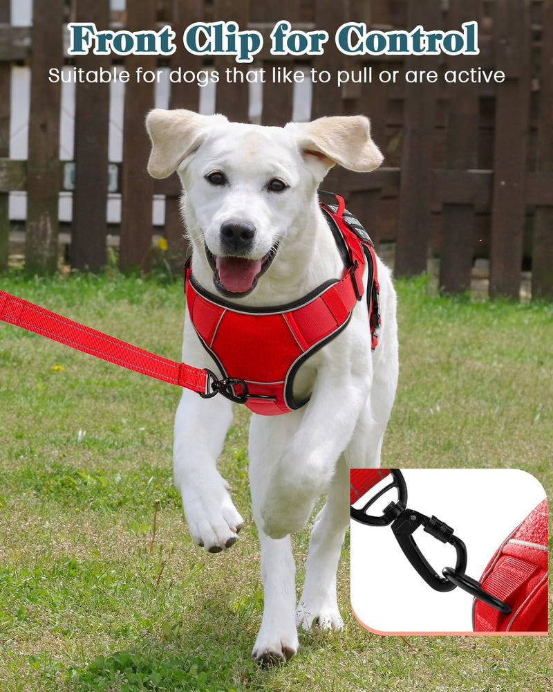 Service Dog in Training Vest, Reflective Do Not Pet Dog Harness with Handle and 6 Patches, Full Metal Buckles, for Medium Dogs Training Walking Small (20-45 lbs) Harness-Brave Red - PawsPlanet Australia