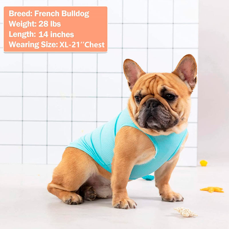 KYEESE 2Pack Dog Shirt, Lightweight Sun Protection Dog T Shirts for Small Dogs Boy Girl, Breathable Mesh Tank Top Sleeveless Pet Reflective Vest, Soft Summer Dogs Clothes, Flamingo+Blue, M Medium (7-13lbs) 1# 2Pack (Flamingo+blue) - PawsPlanet Australia