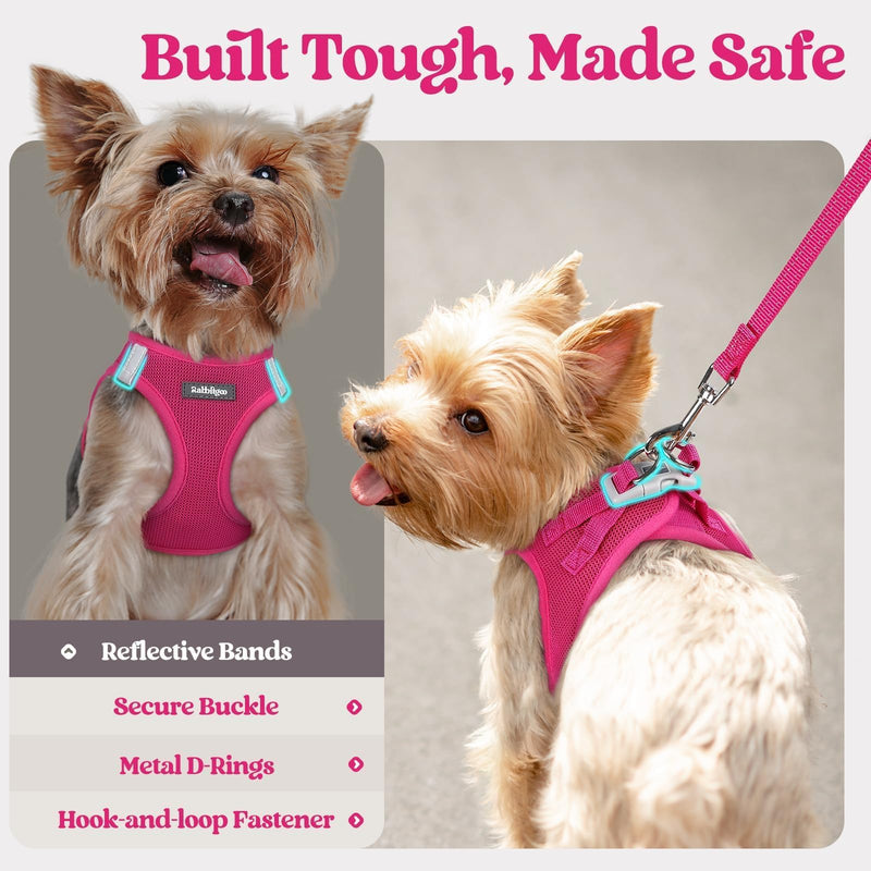 rabbitgoo Dog Harness Small Sized and Leash Set, Step in Soft Light Puppy Vest, Breathable Mesh Pet Harness, Reflective for Safe Easy Walking, Rose Red S S (Chest: 15.1 - 16.5") - PawsPlanet Australia