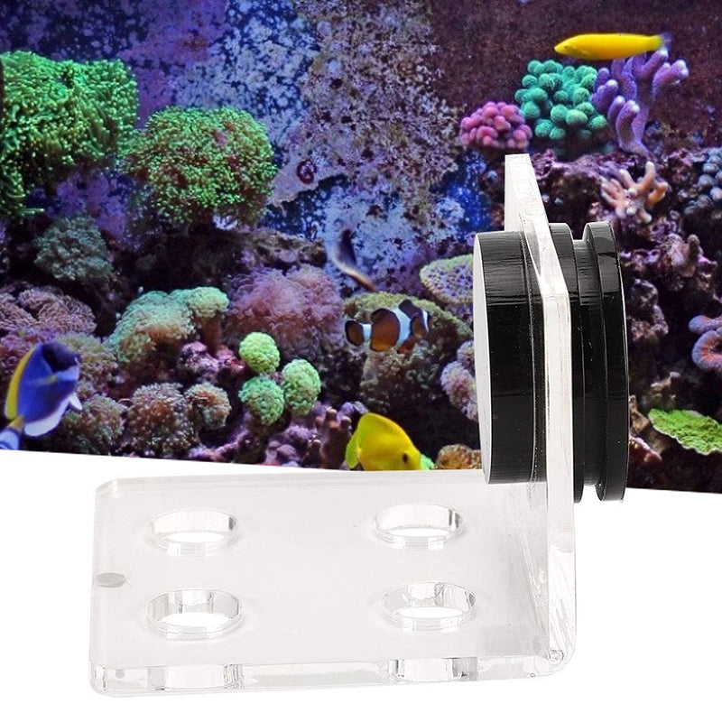 Aquarium Fish Stand, Frag Rack Acrylic Magnetic Frag Holder Support SPS Button Bracket Base for Fish Aquarium(4 Hole ) 4 Hole