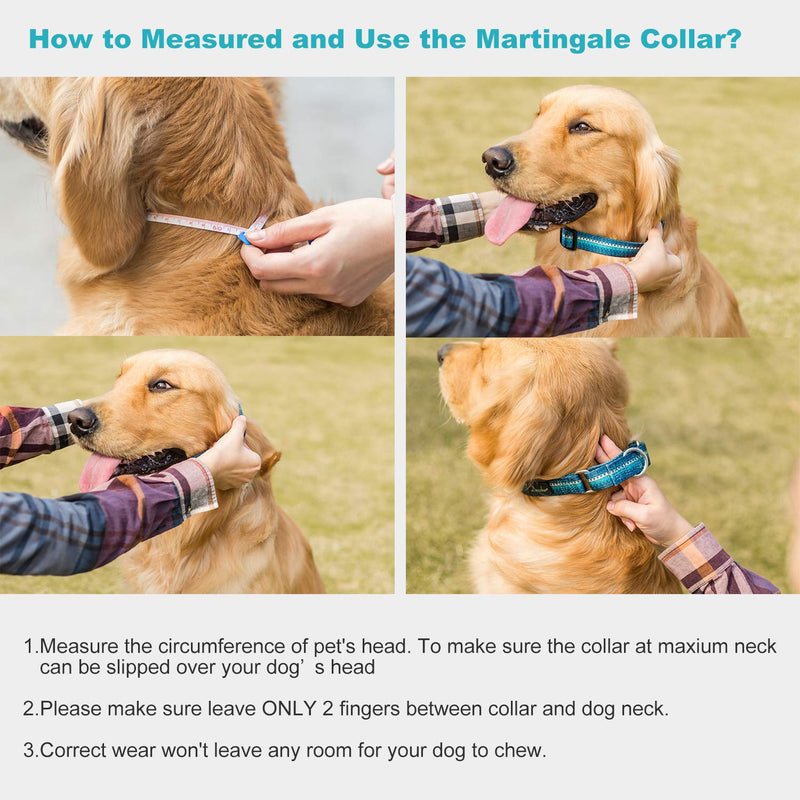 Martingale Dog Collar No Pull Pet Collar Heavy Duty Dog Martingale Collars Silky with Unique Geometric Pattern for Medium and Large Dogs (Large, Turquoise) Large: 17"-25", 1" Wide