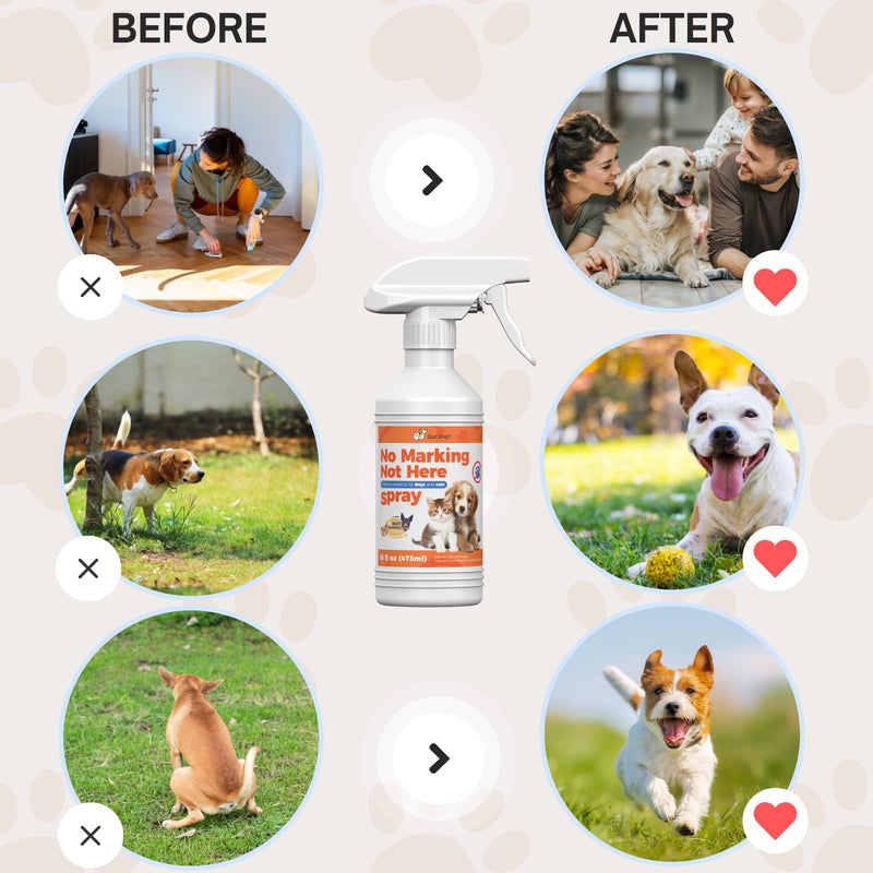 Qucship 16oz Effective Dog Stay Away Spray for Training – Psafe Pet Training Aid to Stop Inappropriate Peeing - Stop Dog Urinating in House with No More Peeing in House - PawsPlanet Australia
