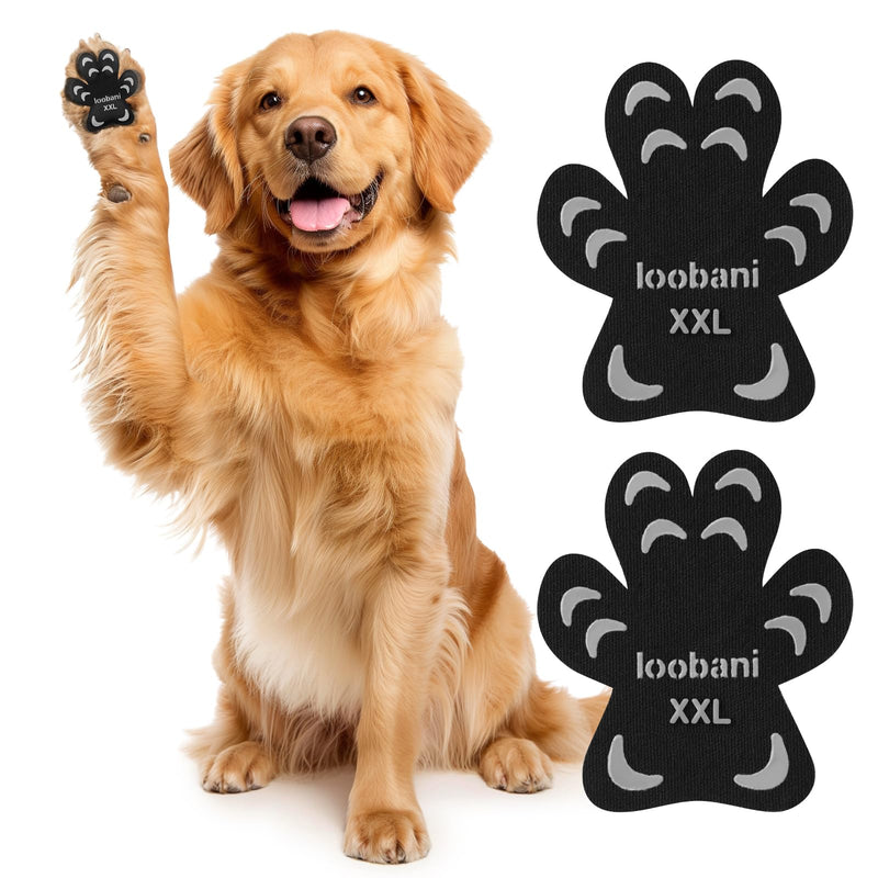 Loobani Dog Paw Pads - Anti-Slip Dog Paw Protector for Senior Dogs Walk on Hardwood Floor,Non-Slip Dog Grippers,Senior Dogs Essentials,12sets(48pcs) XXL (61-80lbs) XX-Large