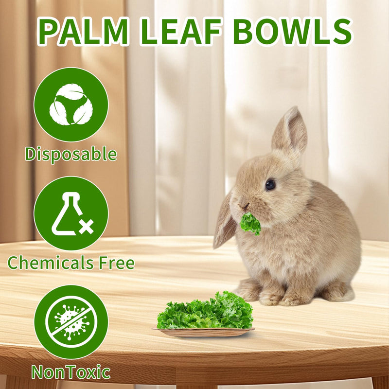 Disposable Palm Leaf Bowls 4 inch Bowl for Rabbits, Compostable Like Bamboo Bowls Disposable Bowl Bunny Chew Toys Chewable Dish for Rabbits,Bunnies,Hamsters,Parrot (25 Pcs) 25Pcs - PawsPlanet Australia