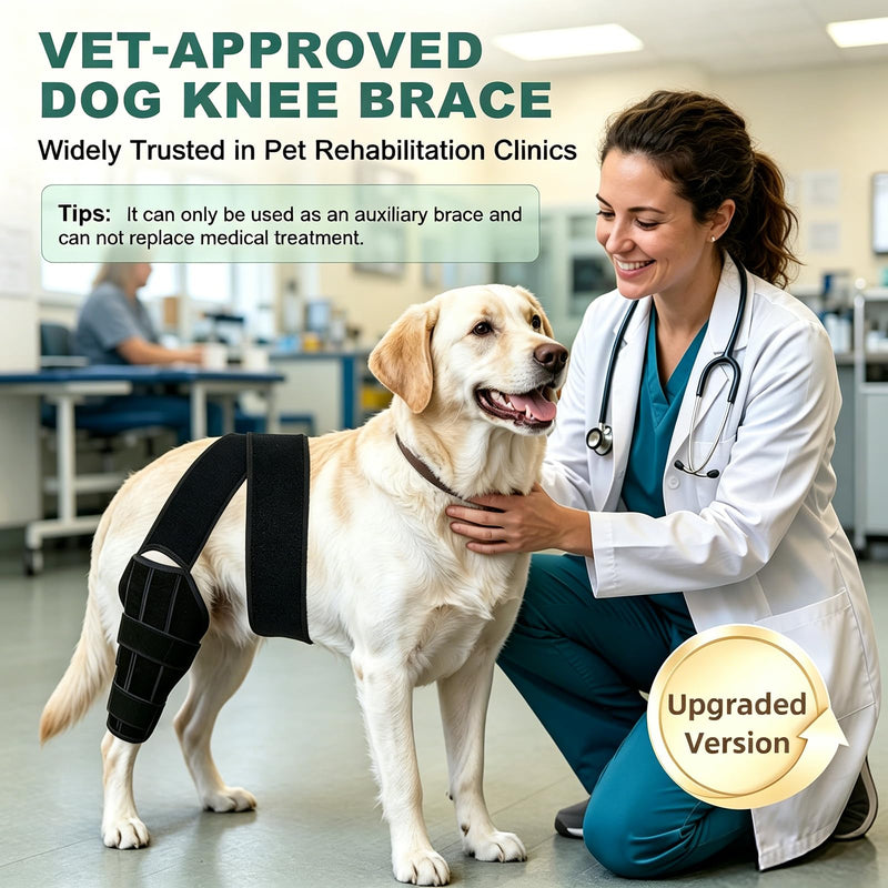 Dog Knee Braces for Back Leg, Adjustable Dog Acl Brace Hind Leg with Stabilizers, Canine Joint Support for Torn ACL, Luxating Patella, Arthritis and Post-Surgery Recovery, Universal (S) S