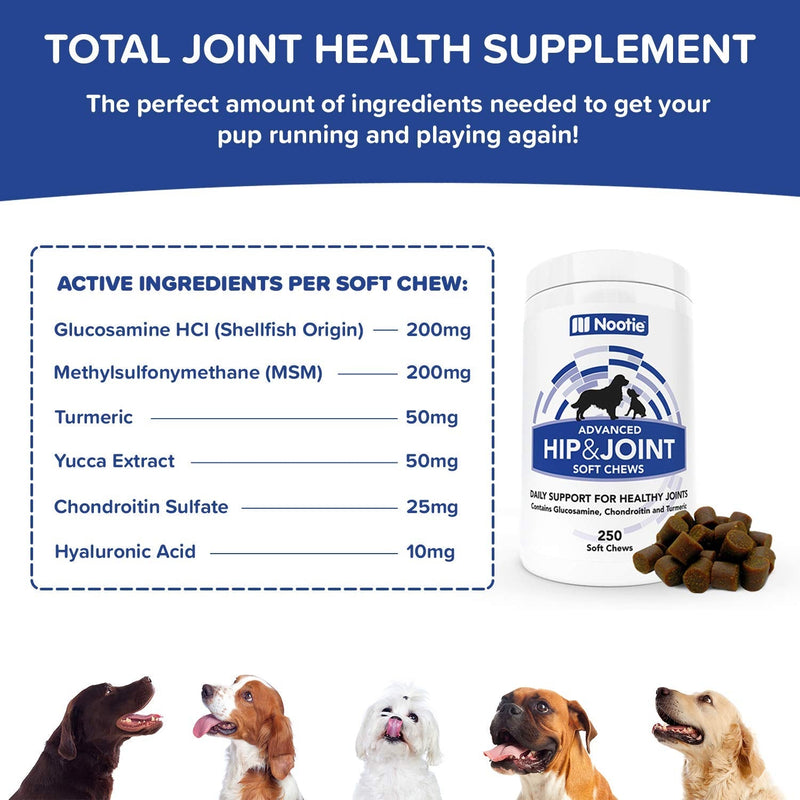 Nootie Glucosamine for Dogs - Hip and Joint Soft Chews Supplement for Dogs - Daily Dog MSM Chondroitin Chews with Turmeric - Joint Care Vitamins for All Breeds and Sizes 250 Count