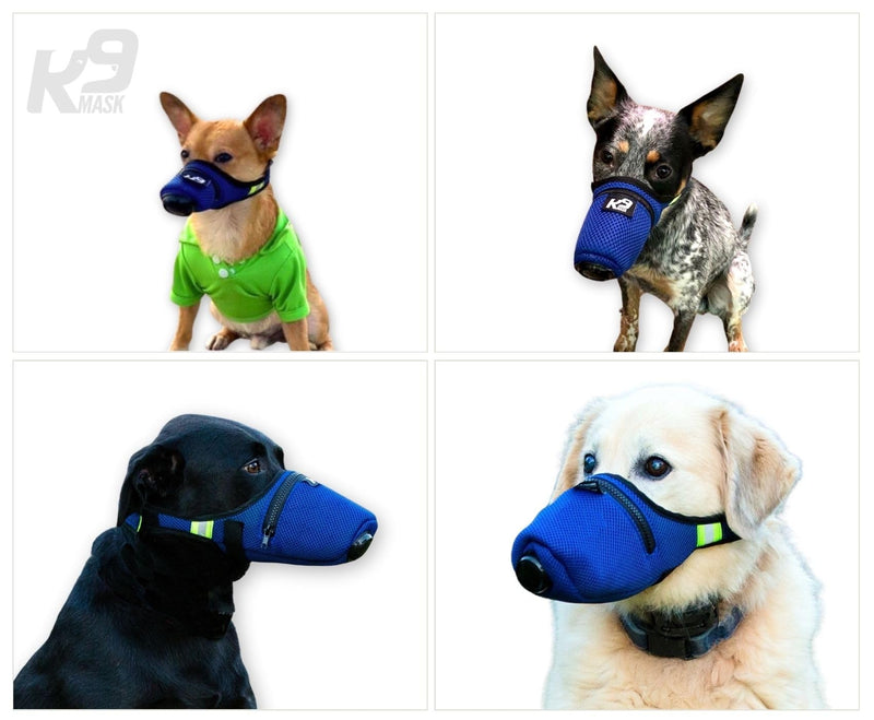 K9 Mask® Air Filter for Dogs with ‘Extreme Breathe’ Premium Air Filter with Refills - Blue (Small) Small