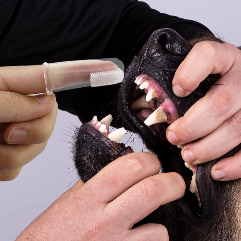 Pack of 14 Soft Silicone Pet Toothbrushes Toothbrush for Dogs Toothbrush for Cats Pet Cleaning