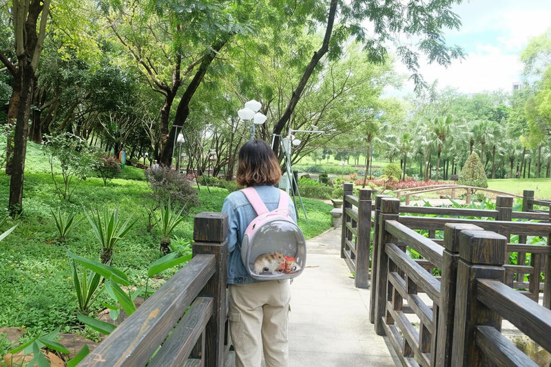 Small Animal Carrier Guinea Pig Backpack,Transparent, Breathable Backpack Carrier for Hedgehogs, Rabbits, Birds, Squirrels, Hamsters, Lizards Comfortable, Portable Travel Bag for Small Pets (Pink) Pink