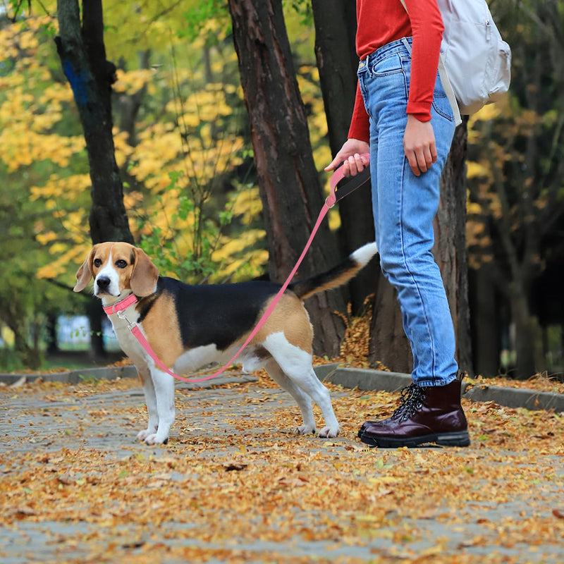 Reflective Nylon Dog Leash for Walking,Strong Dog Leash with Padded Handle for Medium and Large Dogs,6 FT,Hot Pink Hot pink 1" x 6 FT - PawsPlanet Australia