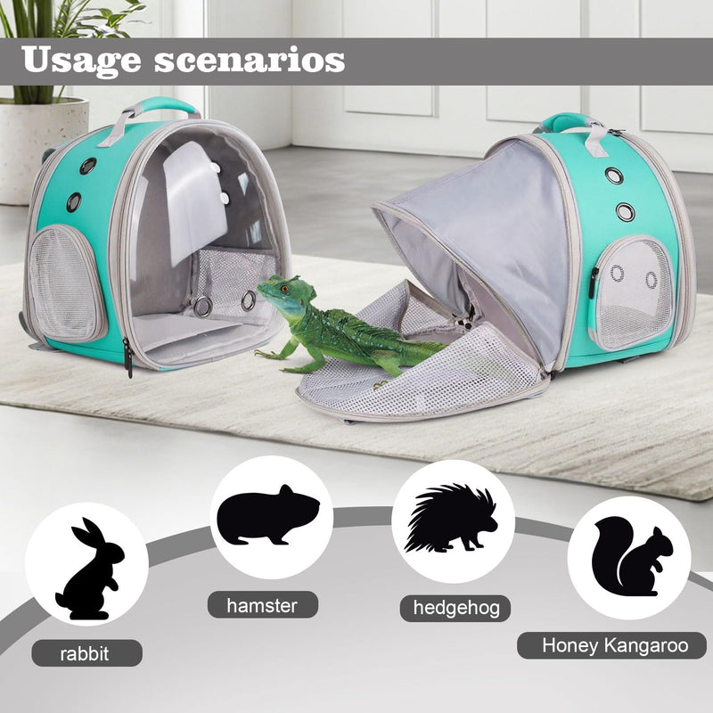 Expandable Bearded Dragon Backpack Carrier with Clear Bubble Window Large Space Travel Cage for Hedgehog Rat Parrot,Rabbit,Sugar Glider,Airline Approved (Green, Back Extention) Green - PawsPlanet Australia