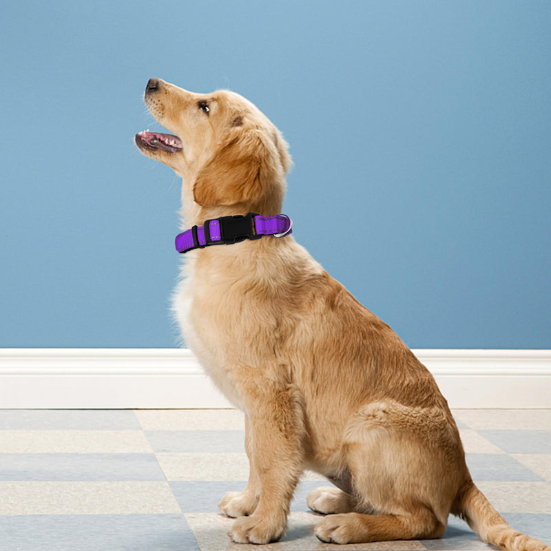 Reflective Dog Collar, Adjustable Soft Neoprene Padded Nylon Pet Collars with Buckle for Puppy and Small Dogs, Cats, Purple,XS - PawsPlanet Australia