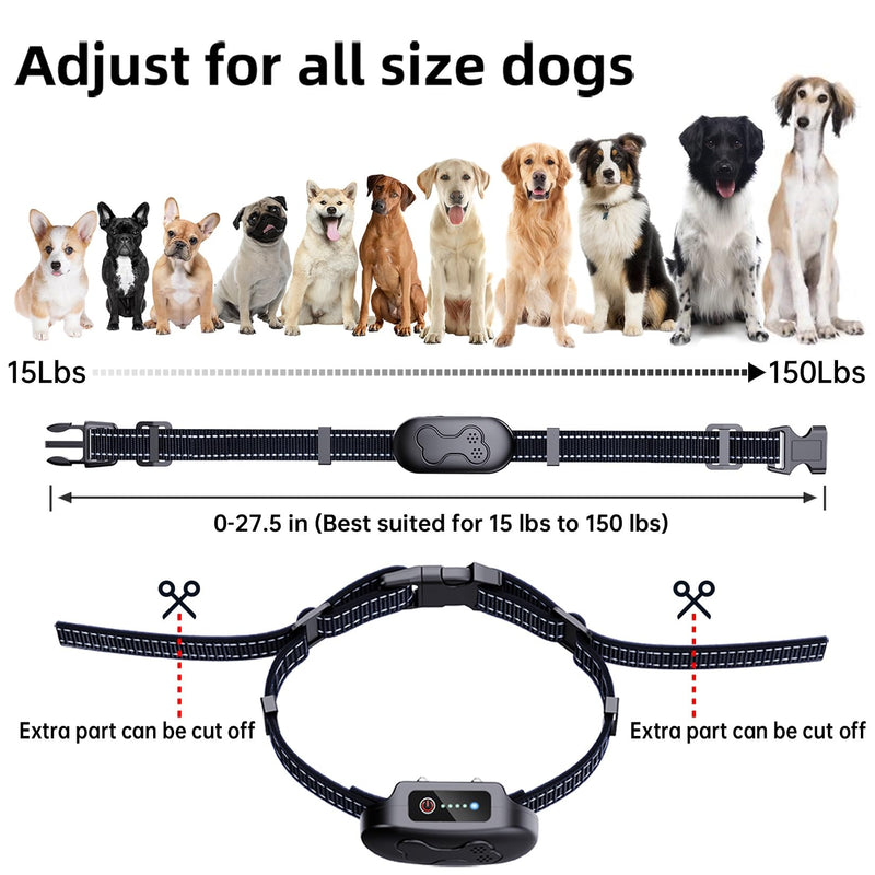 Rechargeable Dog Training Collar with Remote - Waterproof Dog Shock Collar, E Collar, for 20-150 lb Dogs, with Flashlight, Beep, Vibration, Shock 4 Training Modes for Large Medium Small Dogs - PawsPlanet Australia