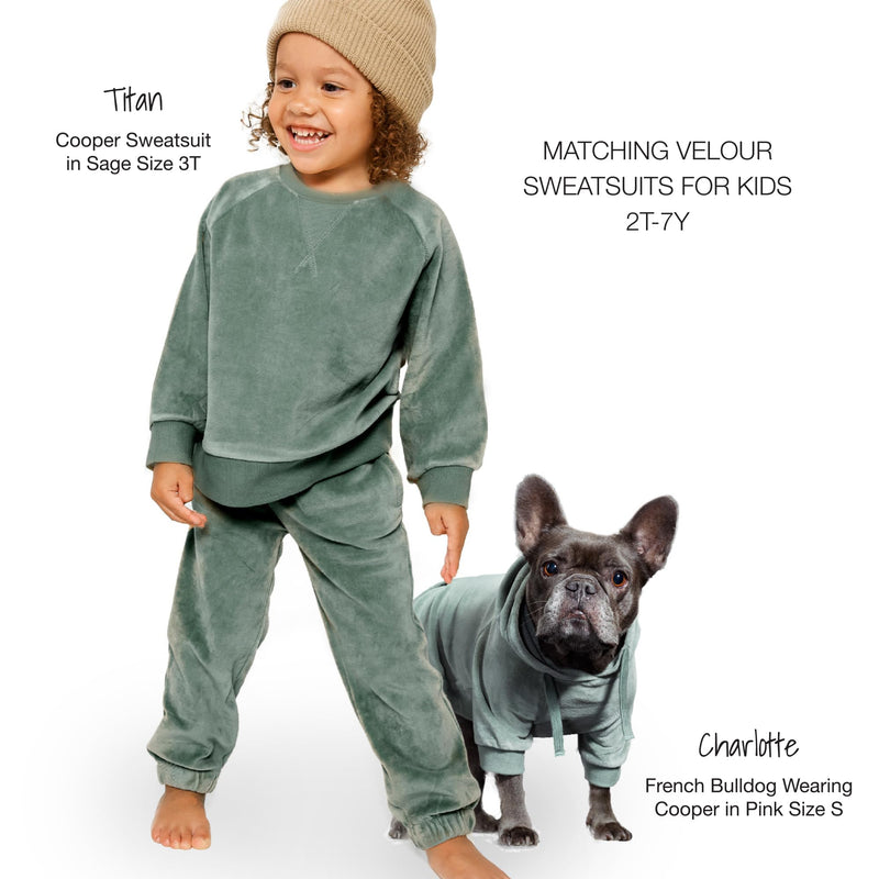 Cooper II Organic Cotton Velour Dog Hoodie Pet Coat for Small, Medium and Large Dogs, Sage, X-Large (55-80 lbs) X-Large (55-80 lbs) - PawsPlanet Australia