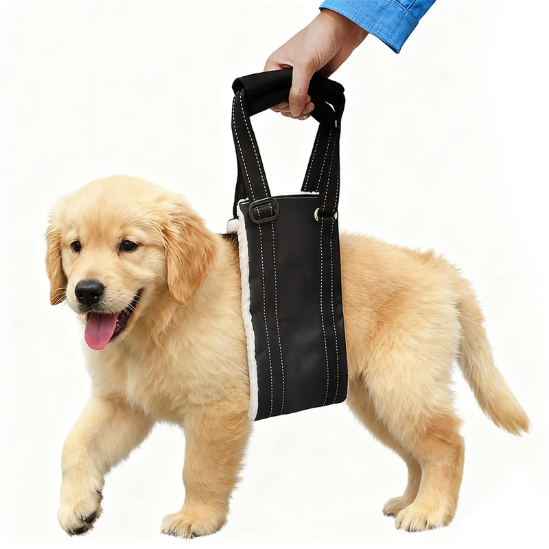 Dog Carrying Aid, Adjustable Walking Aid and Rehabilitation Carry Strap for Various Sizes, Safety Support for Disabled, Injured or Older Dogs, M