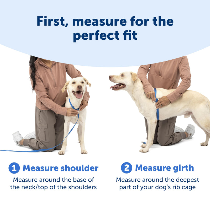 PetSafe Easy Walk Comfort No-Pull Dog Harness - Better Walk Training Harness - Full Body Padded Design - Durable Fabric - 5 Point Adjustable Fit - Everyday Leash Training - Pink - Large - PawsPlanet Australia
