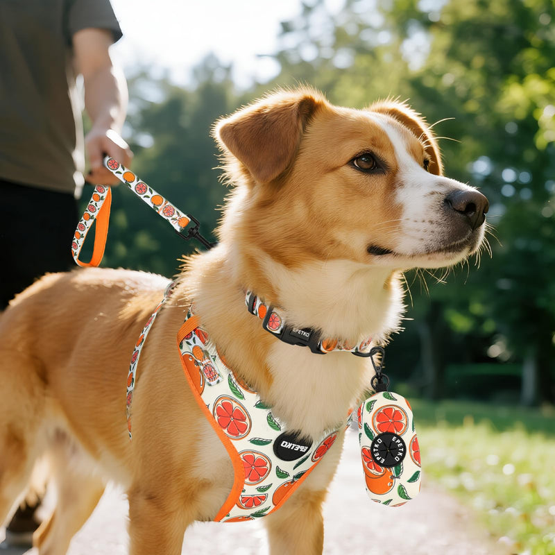 Dog Leash and Harness Set of 6, Soft Lightweight Mesh Step-in Puppy Harness, Adjustable Cute Floral Pattern Puppy Harness for Small Medium Dogs Orange M - PawsPlanet Australia