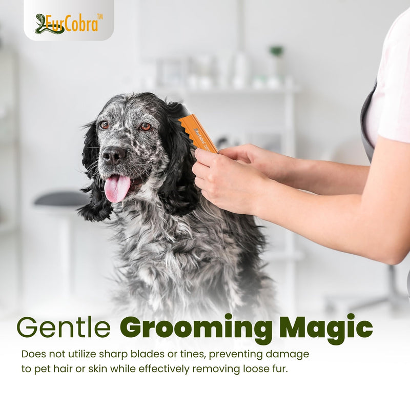 Direct 10 Pet Grooming Brush 3.54" - Gentle, No Metal Blades, Soft Dog, Cat Brush - Train Pets to be Brushed - Portable, Easy To Use Slicker Pet Grooming Tool for Dog, Cat, Puppy, Kitten Hair - PawsPlanet Australia