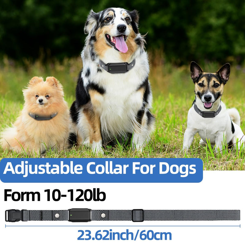 Dog Shock Collar with Remote Control Shock Collar for Dogs, 4 Training Modes Vibration, Beep, Shock, Flashlight IPX7 Waterproof Keypad Lock Rechargeable E-Collar for All Breed - PawsPlanet Australia