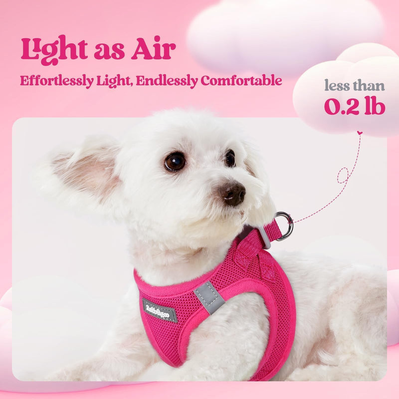 rabbitgoo Dog Harness Small Sized and Leash Set, Step in Soft Light Puppy Vest, Breathable Mesh Pet Harness, Reflective for Safe Easy Walking, Rose Red S S (Chest: 15.1 - 16.5") - PawsPlanet Australia
