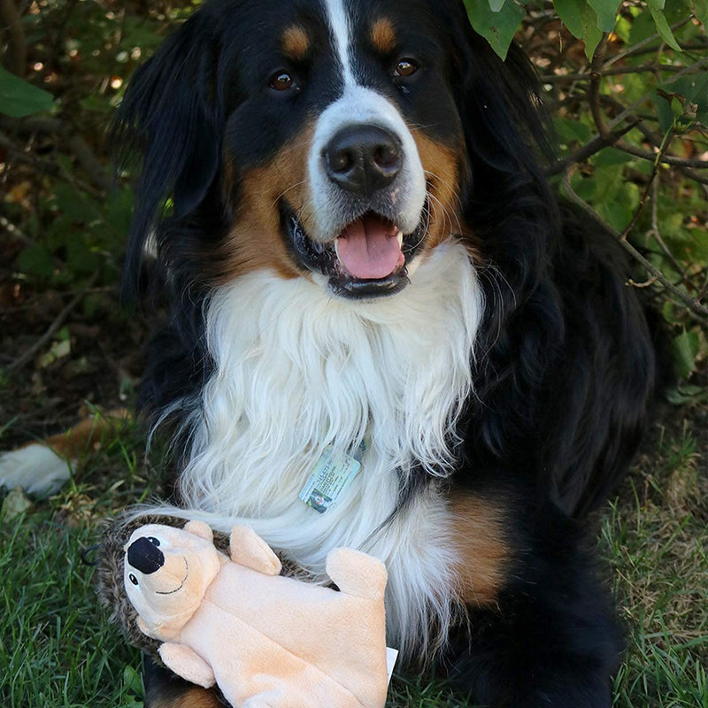 Snuggle Puppy Tender-Tuffs Crinkle - Large Tough Plush Stuffed Hedgehog Animal Dog Toy with Puncture Resistant Squeaker and Super Strong Seams - PawsPlanet Australia
