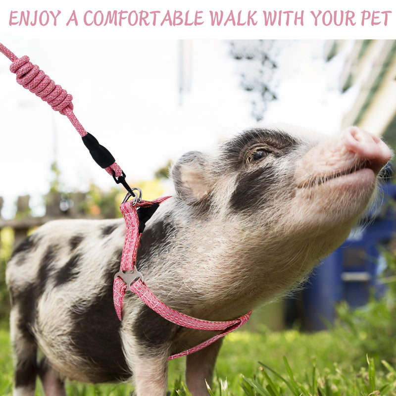 Mini Pig Harness, Adjustable Small Pig Harness with Leash Infinity Style Lead and Soft Foam Handle for Small to Medium Pet Pigs Walking Training Jogging (Pink, M) Pink - PawsPlanet Australia