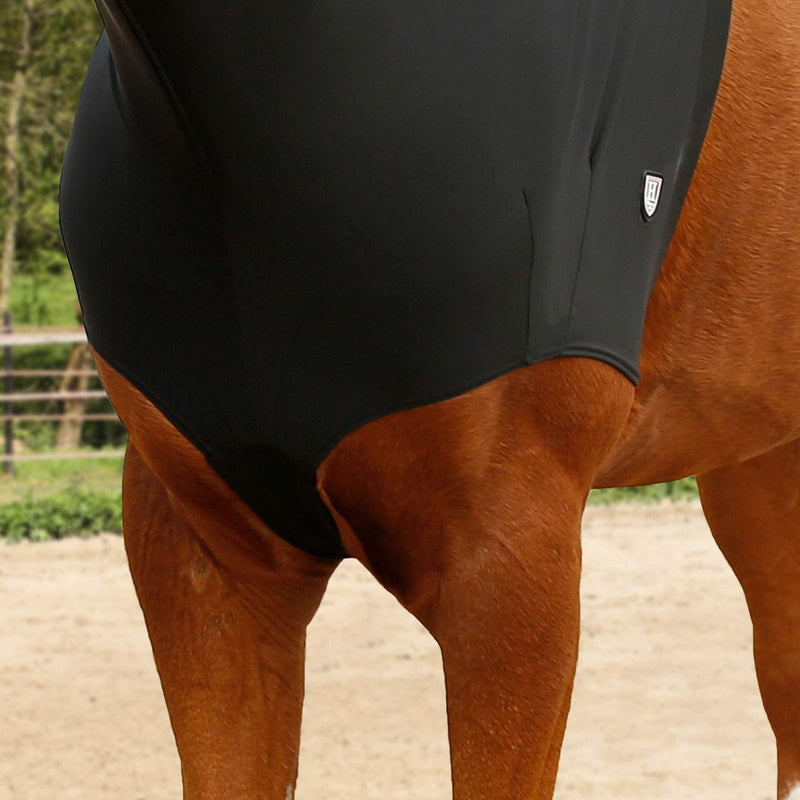 Harrison Howard Stretch Horse Slinky Hood All-Covered Comfortable Horse Sleazy Neck with Zipper -Black L Black Large - PawsPlanet Australia