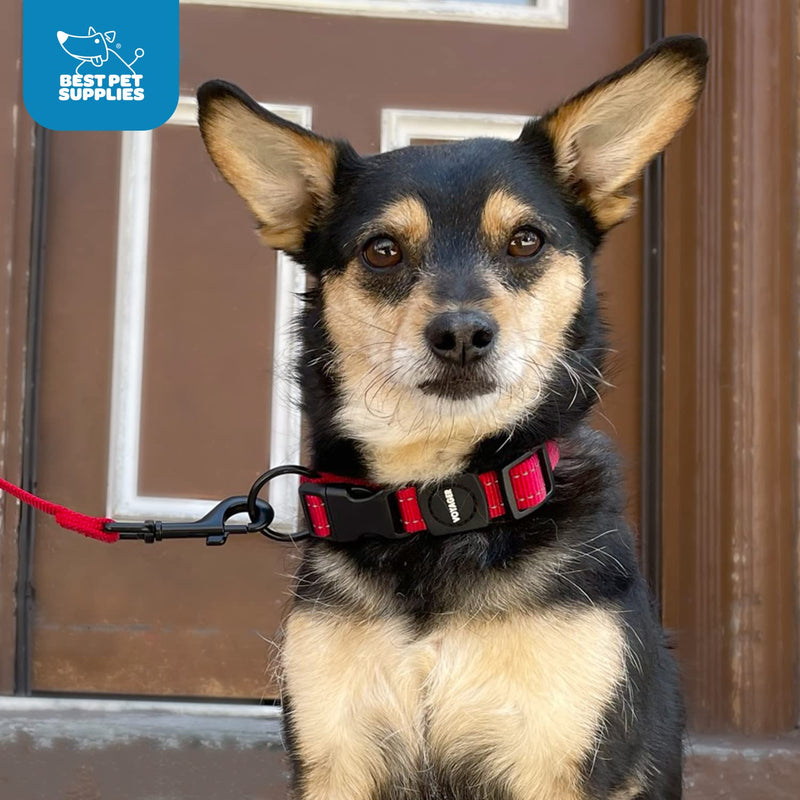 Best Pet Supplies Reflective Dog Collar with Adjustable Length, Heavy-Duty Buckle, and Strong Leash D-Ring, Training, Walking, Jogging Accessory for Small, Medium, and Large Breeds - Turquoise, L - PawsPlanet Australia