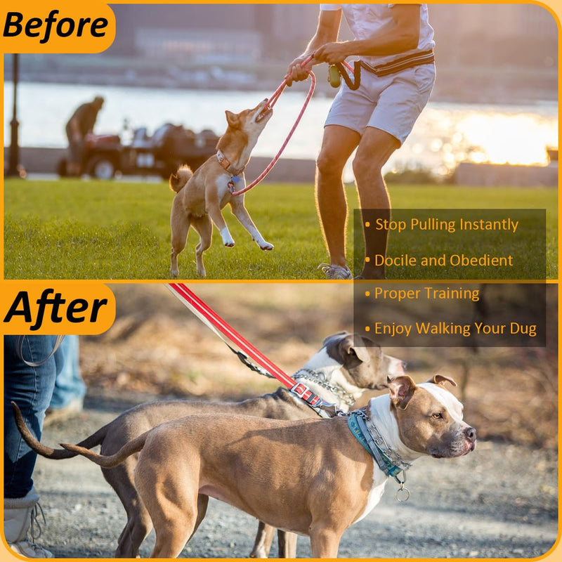 Quick - Release Dog Collar, Metal Leash Collar for Small Dogs, Medium Dogs, Large Dogs (XL(23-26" Neck)) XL - PawsPlanet Australia