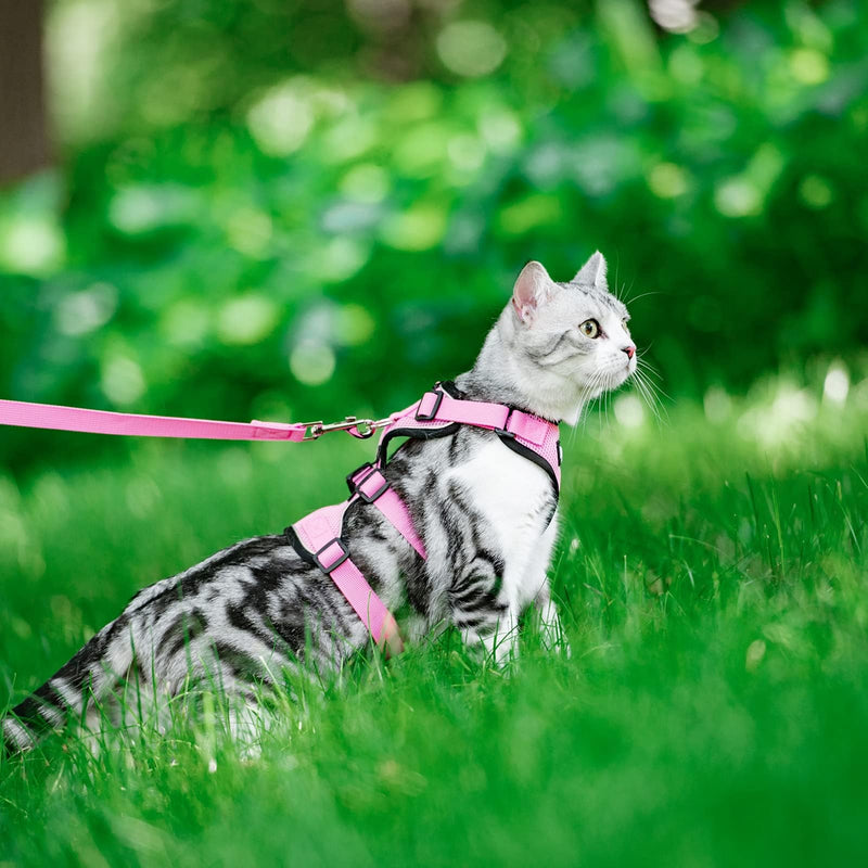 PUPTECK Cat Harness and Leash Set Escape Proof for Walking, Breathable Mash Vest Adjustable Harness for Cats Puppy Small Animals, Reflective at Night, Pink Medium M: Neck 11.4"-15.3", Chest 12.8"-20" - PawsPlanet Australia