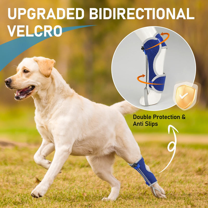 Supet Knuckling Brace for Dogs, Comfortable Foot Splint, Ankle Brace Back Leg for Toe Dragging Cause by Myelopathy, Sciatic Nerve Insufficiency & Herniated Disc (Blue, XL)