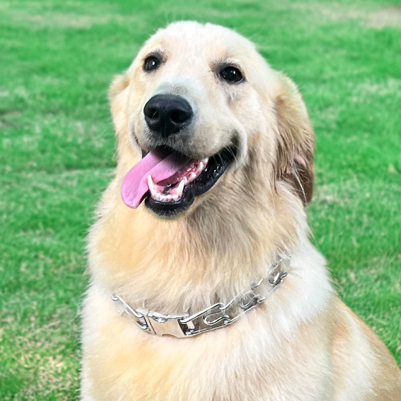 Adjustable Dog Ｎo Pull Ｃollar for Small Medium Large Dogs (Silver, M) Silver - PawsPlanet Australia